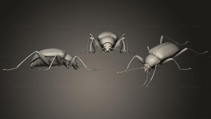 Статуэтки животных (Жуки-насекомые 142, STKJ_1730) 3D модель для ЧПУ станка